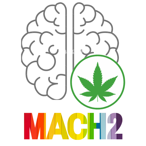 mach2 logo